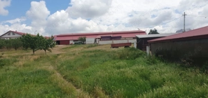 Vând fermă zootehnică utilată, 1000 m  construiți, comuna Dulceanca, sat Vedea   Teleorman - imagine 10 Vând fermă zootehnică utilată, 1000 m  construiți, comuna Dulceanca, sat Vedea   Teleorman - imagine 10
