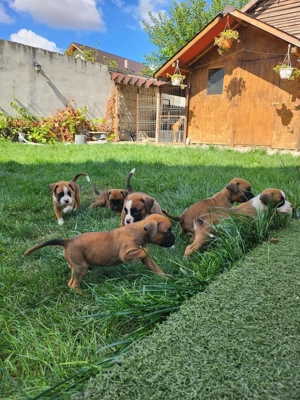 In cautarea unui nou camin - imagine 5 In cautarea unui nou camin - imagine 5