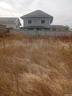 Vând teren intravilan -Berceni Ilfov 