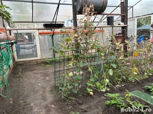 vand casa in Mehala 385000 euro - imagine 11 vand casa in Mehala 385000 euro - imagine 11