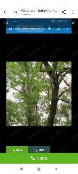 Proprietar vând teren intravilan cu casa demolabila in Poeni Teleorman  - imagine 10