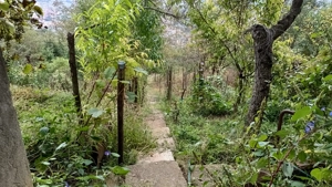 Vand casa la Platoul Cornesti. Nu doresc colab. cu Agentie imobiliara - imagine 8