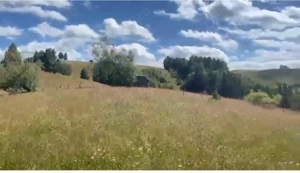 Teren extravilan 46.050 mp, Sat Șirnea, Comuna Fundata! - imagine 4