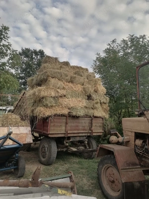 Vand baloti de fan , ovăz verde uscat  - imagine 2