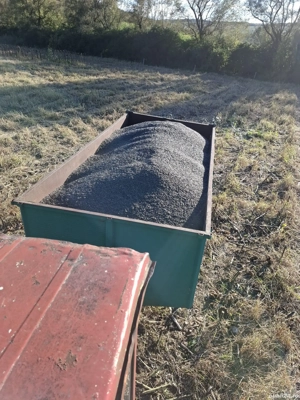 vand floarea soarelui 