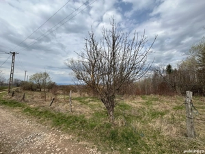 Vând teren in Mărcești, Râșca