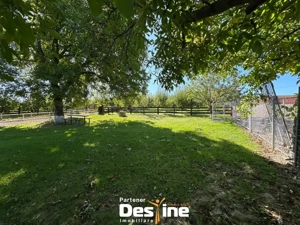 Tătărusi - Proprietate spațioasă cu potențial turistic în Bucovina Mică - imagine 2