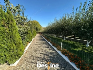 Tătărusi - Proprietate spațioasă cu potențial turistic în Bucovina Mică