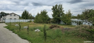 vând teren comuna Letea veche sat Holt