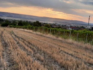 Proprietar vand 1500 mp teren pentru casa si teren agricol in Filiasi, DOLJ - imagine 7