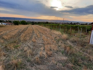 Proprietar vand 1500 mp teren pentru casa si teren agricol in Filiasi, DOLJ - imagine 5