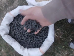 Vând porumb,grâu, - imagine 5