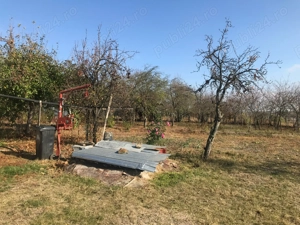 Vand terenuri ,casa Videle Parisesti Teleorman - imagine 8