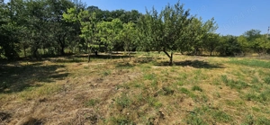 Casă de vânzare  - imagine 8