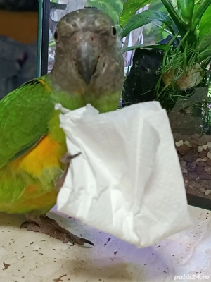 de vanzare - imagine 3