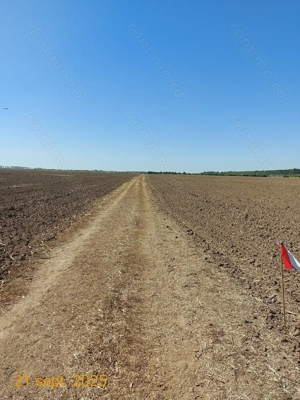 Vanzare teren intravilan Buftea, Tarla 23 - imagine 3