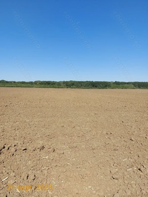 Vanzare teren intravilan Buftea, Tarla 23 - imagine 5