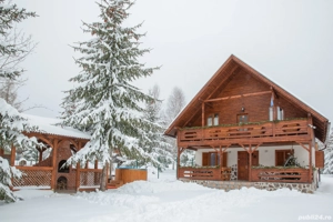 Cabana de închiriat- Kamilla Cabana Borzont Bucin