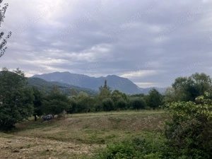 Teren de vanzare langa localitatea Rasnov - imagine 4