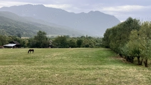 Teren de vanzare langa localitatea Rasnov - imagine 3