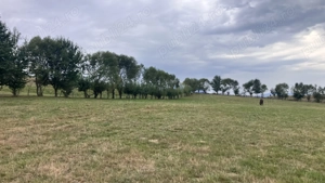 Teren de vanzare langa localitatea Rasnov - imagine 7