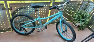 Bicicleta copii 4 - 14 ani Giant 