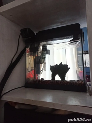 acvariu 15l  complet functional - imagine 3