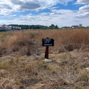 Vand teren intravilan Domnesti