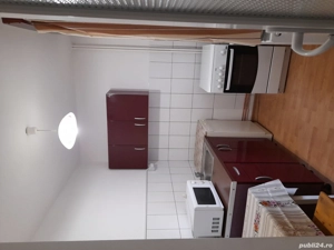 dau in chirie - imagine 2