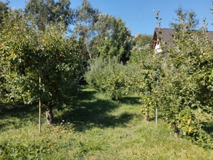 Breaza, teren 1705 mp sau lotizat, zona insorita - imagine 4