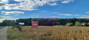 Gulia teren 11.157 mp, lângă Pădurea Cereanca