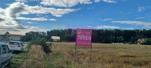 Gulia teren 11.157 mp, lângă Pădurea Cereanca - imagine 2