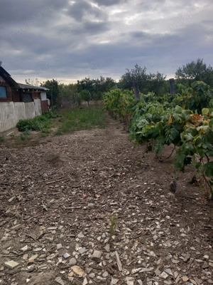 Casa de vânzare Pischia - imagine 6 Casa de vânzare Pischia - imagine 6