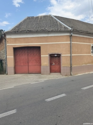 Vand casa Pianu de Sus,jud.Alba, 135 mp