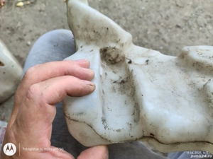 Vas lichid parbriz Ford Focus 2  1.6 TDCI 2004-2012 4M51-13K163AB BC MF - imagine 4