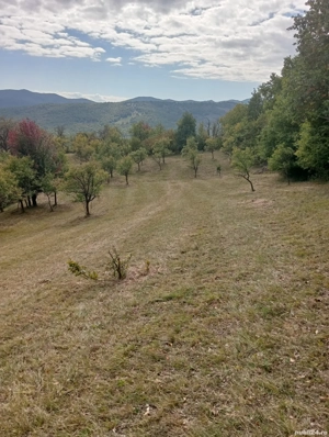 vand teren - imagine 2 vand teren - imagine 2