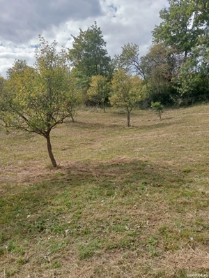 vand teren - imagine 3 vand teren - imagine 3