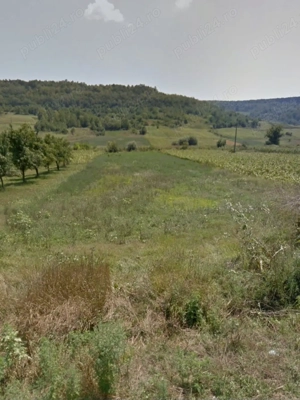 Vând teren intravilan + extravilan   Breznița Motru, Mehedinți