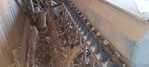 Vând semănătoare sup21 