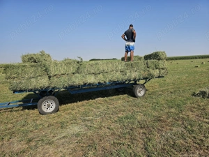 Vand baloti de lucernă 