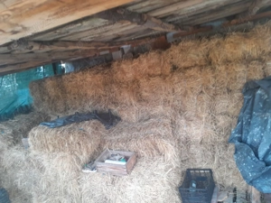 Vand baloti  de fan de calitate 72 bucati 