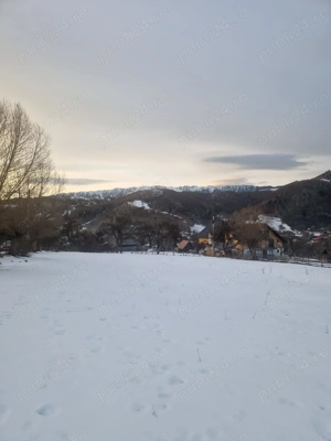 Teren de vanzare Moieciu De Jos