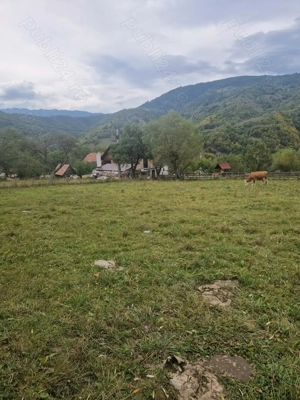 Teren de vanzare Moieciu De Jos - imagine 3