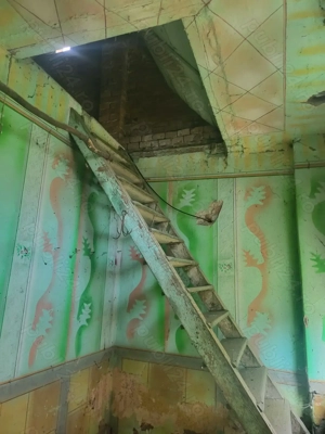 Proprietar vand casa cu gradina in localitatea Uliuc - imagine 7