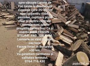 lemne pregatite pentru foc   