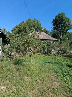 Teren intravilan Costești (Fieni) Dâmbovița