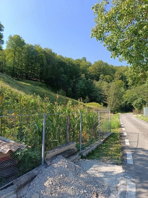 Teren intravilan Costești (Fieni) Dâmbovița  - imagine 8