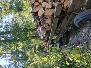 Lemne de foc de vânzare 