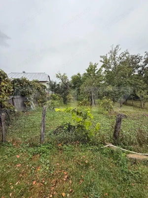 Casa batraneasca, 65 mp si teren intravilan 5600 mp, Adancata - imagine 3