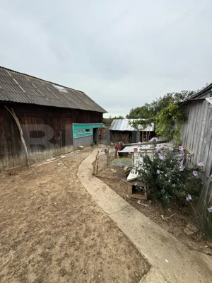 Casa batraneasca, 65 mp si teren intravilan 5600 mp, Adancata - imagine 8